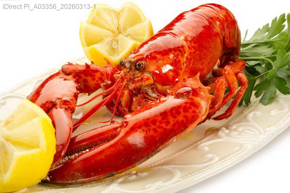 巷弄間的驚喜與落空：這些餐廳，為何一試成主顧或踩雷？示意圖